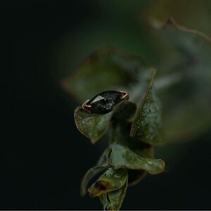 Gently Used Mettle and Silver Marquise salt and pepper diamond in rose gold🖤✨🖤